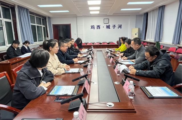 肖董事长率队赴鸡西市城子河区考察，探寻文旅项目合作机遇